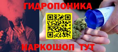 прущие крисы Кунгур