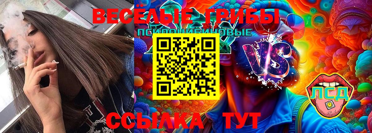 Галлюциногенные грибы Magic Shrooms  Псилоцибиновые грибы Psilocybe  Вход с VPN  Керчь 